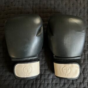 14 oz Modest Vintage Boxing Gloves